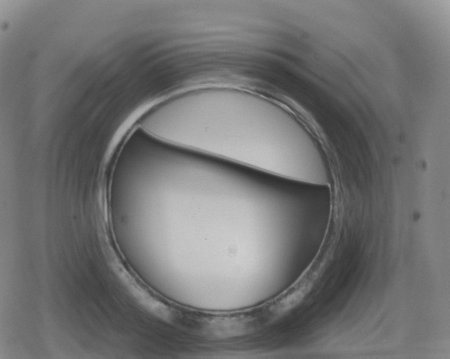 X0000080720796200612150837