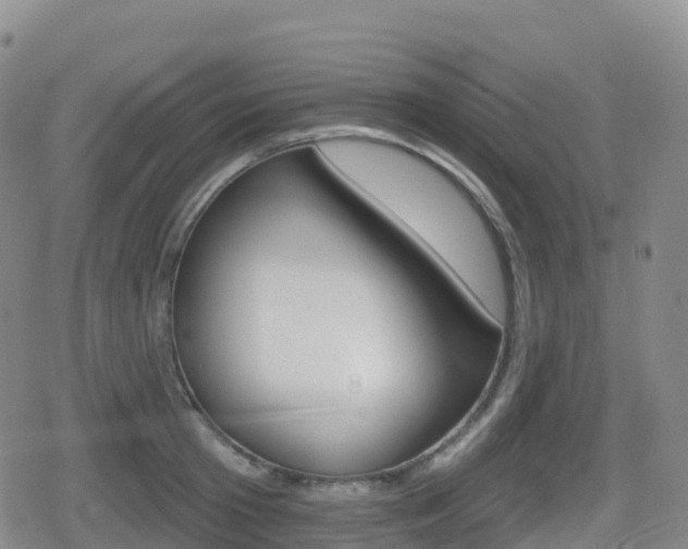 X0000080720801200612150837