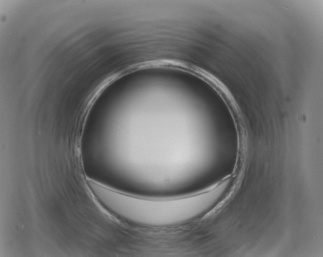X0000080720809200612150837
