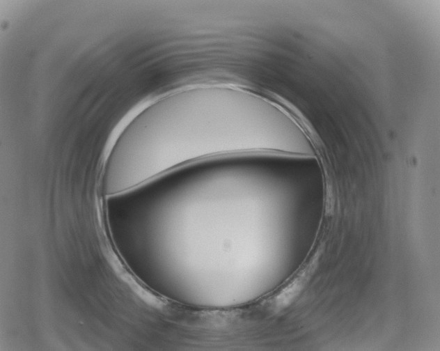 X0000080720812200612150837