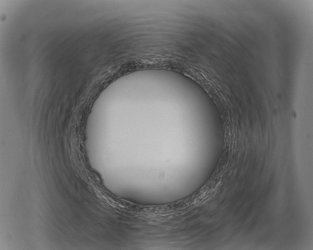 X0000080720817200612150836