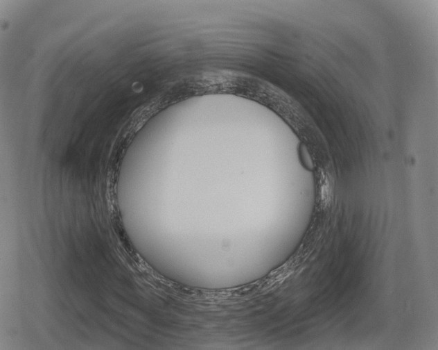 X0000080720819200612150836