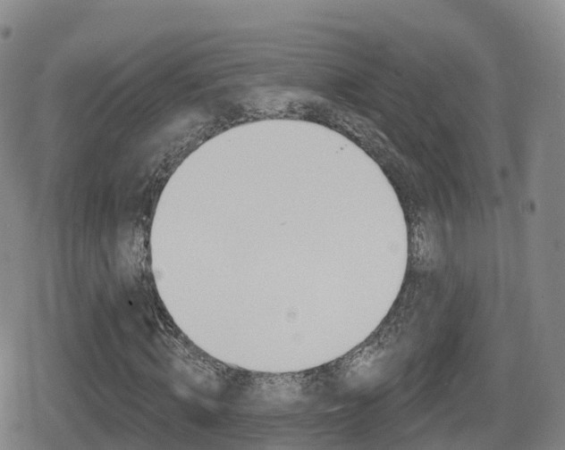 X0000080720820200612150836