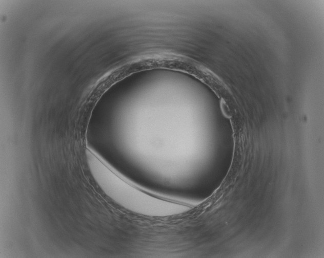 X0000080720822200612150836