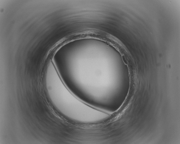 X0000080720826200612150836