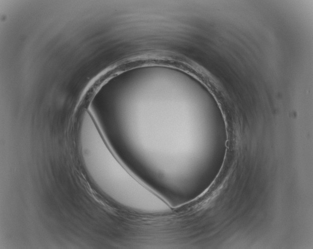 X0000080720830200612150836