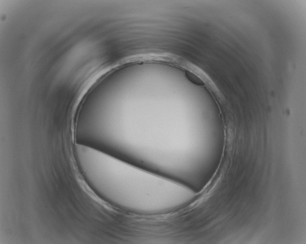 X0000080720844200612150836