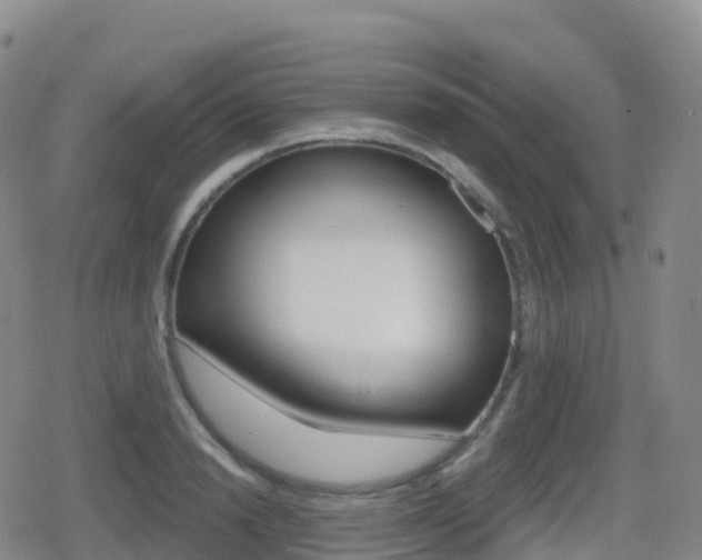 X0000080720846200612150836