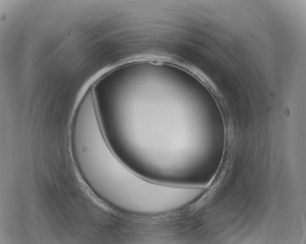 X0000080720854200612150836