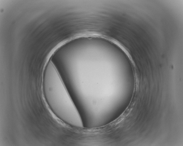X0000080720861200612150836