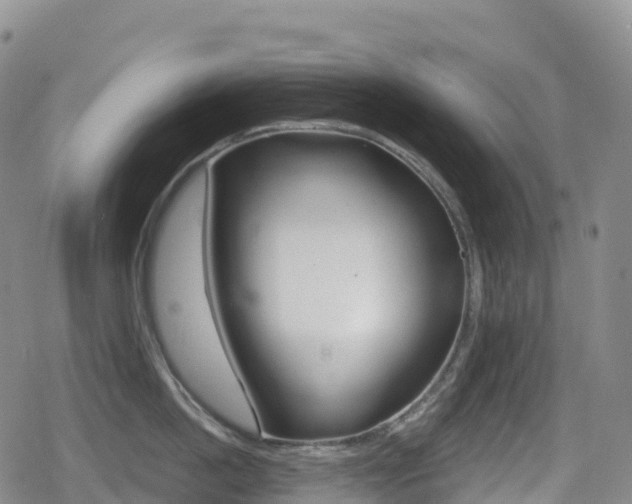 X0000080720862200612150836