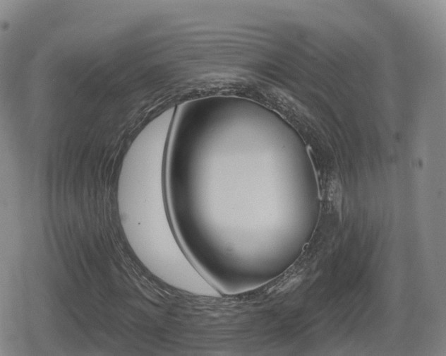 X0000080720868200612150836