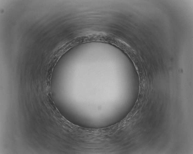 X0000080720869200612150836