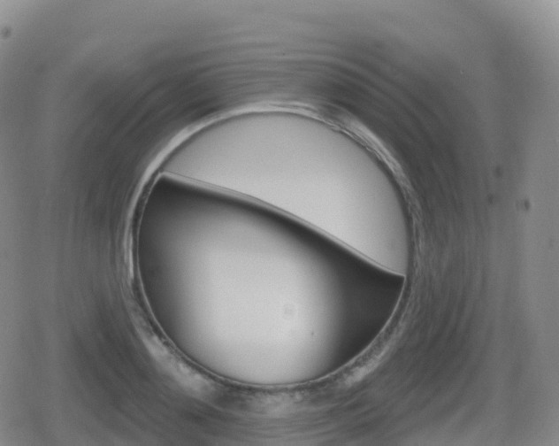 X0000080720892200612150835