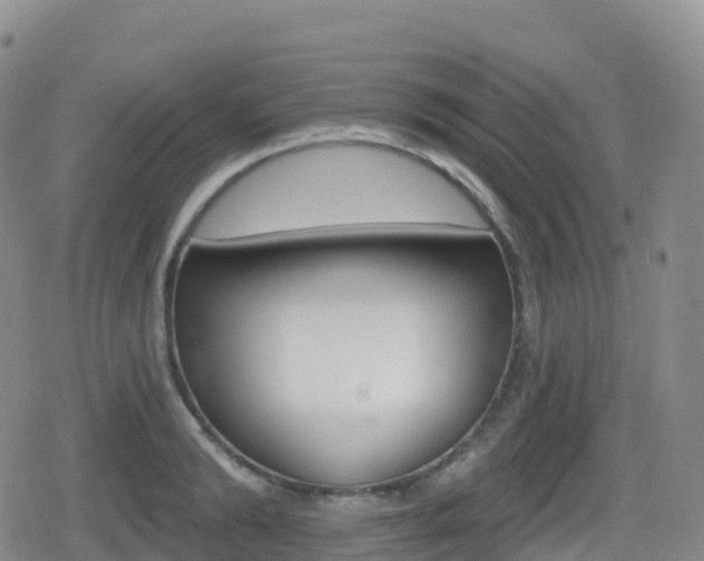 X0000080720894200612150835