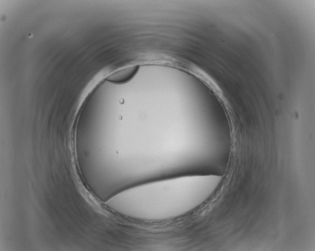 X0000080720907200612150835