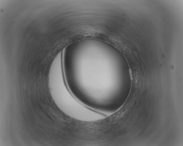 X0000080720916200612150834