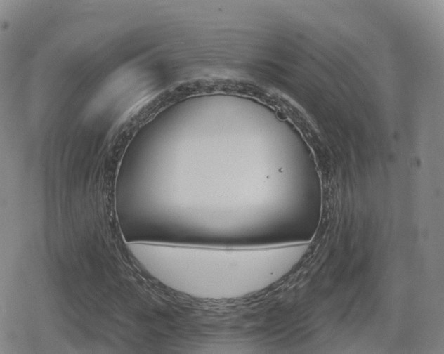 X0000080720919200612150834