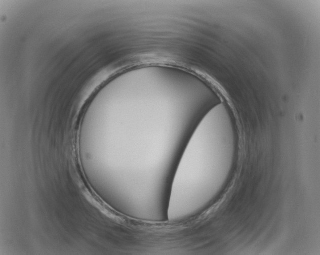 X0000080720941200612150835