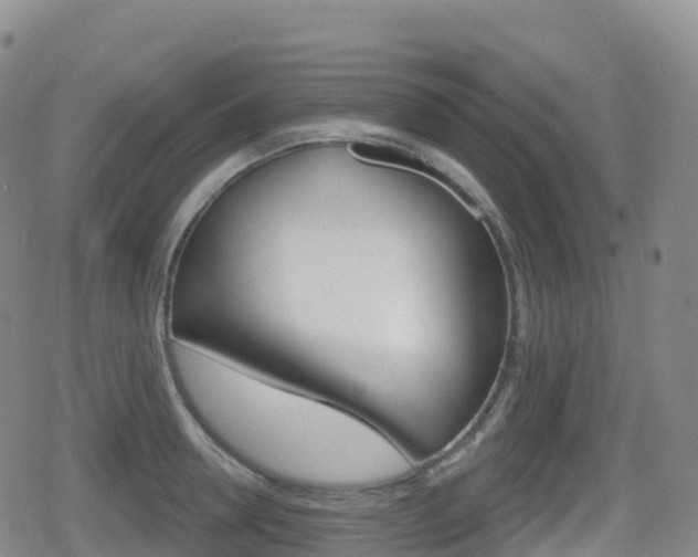 X0000080720946200612150835