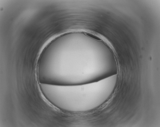 X0000080720958200612150835
