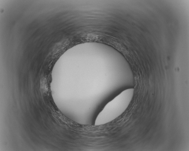 X0000080720962200612150834