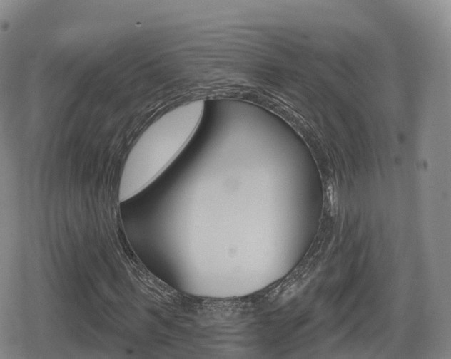 X0000080720963200612150834