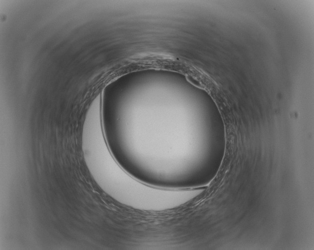 X0000080720965200612150834