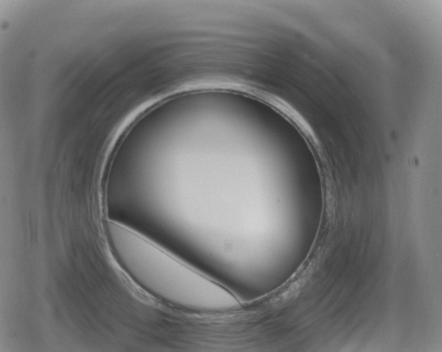 X0000080720996200612150834
