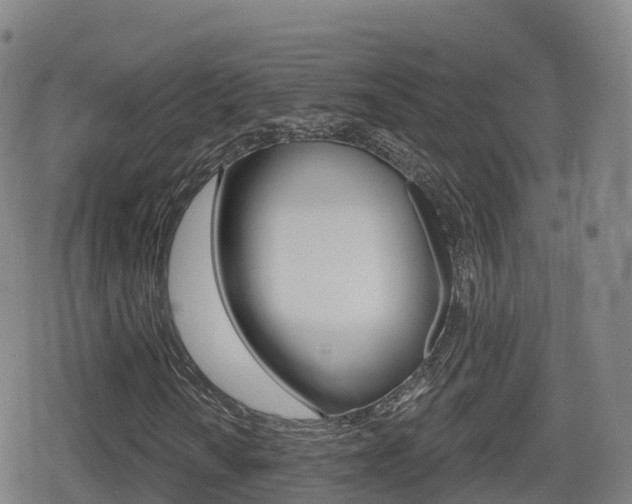 X0000080721010200612150833