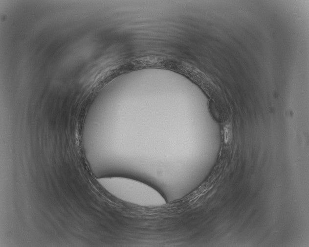 X0000080721011200612150833