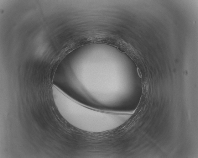 X0000080721012200612150833