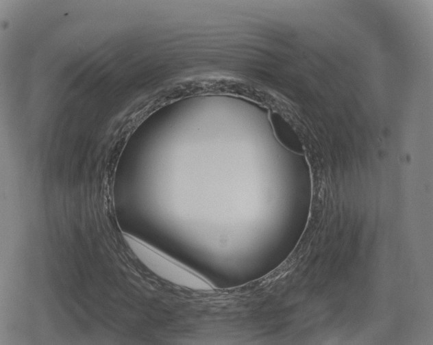 X0000080721014200612150833