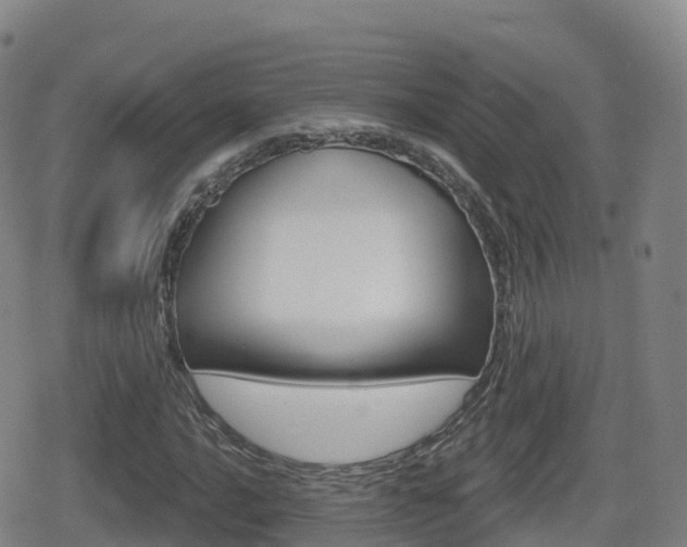X0000080721016200612150833