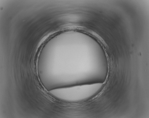 X0000080721023200612150833