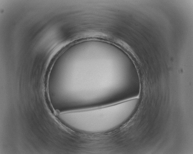X0000080721024200612150833