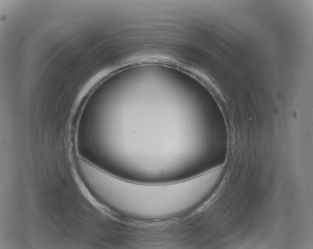 X0000080721038200612150833