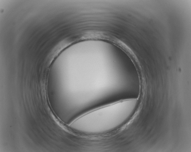X0000080721041200612150833