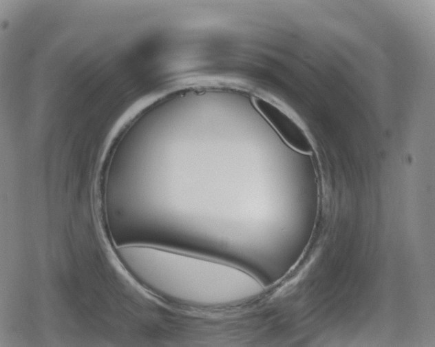 X0000080721045200612150833
