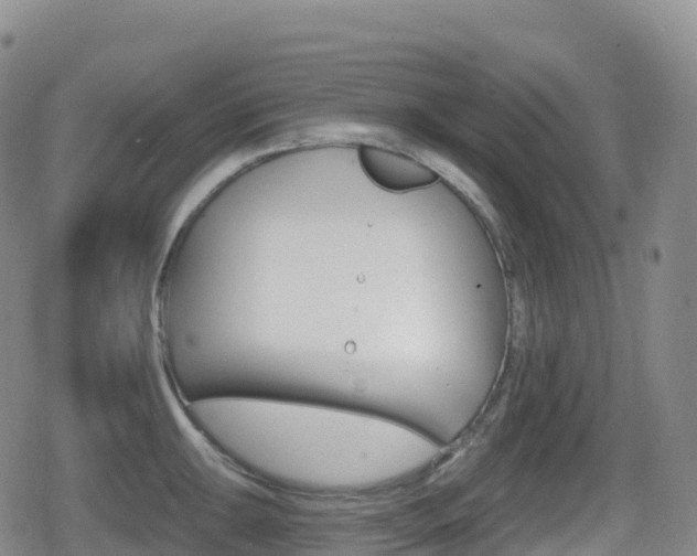 X0000080721047200612150833