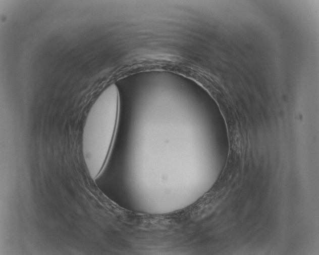 X0000080721061200612150832