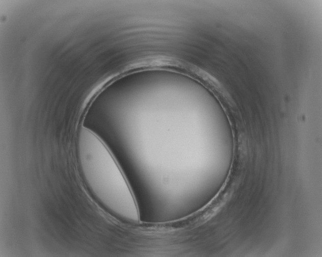 X0000080721081200612150832