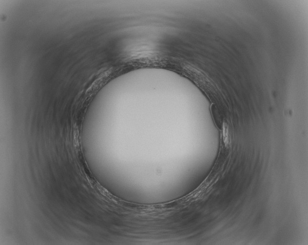 X0000080721107200612150831
