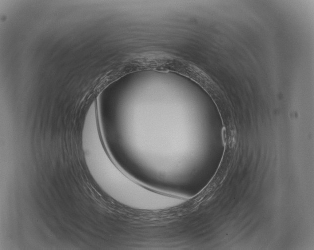 X0000080721108200612150831