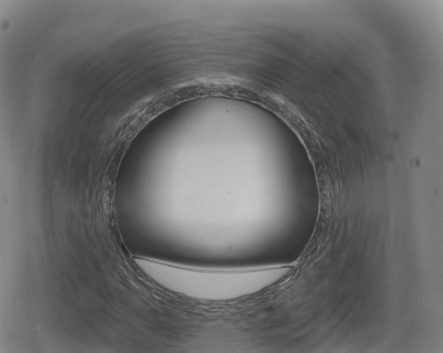X0000080721110200612150831