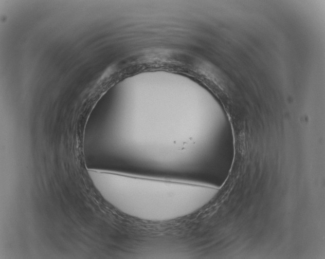 X0000080721111200612150831