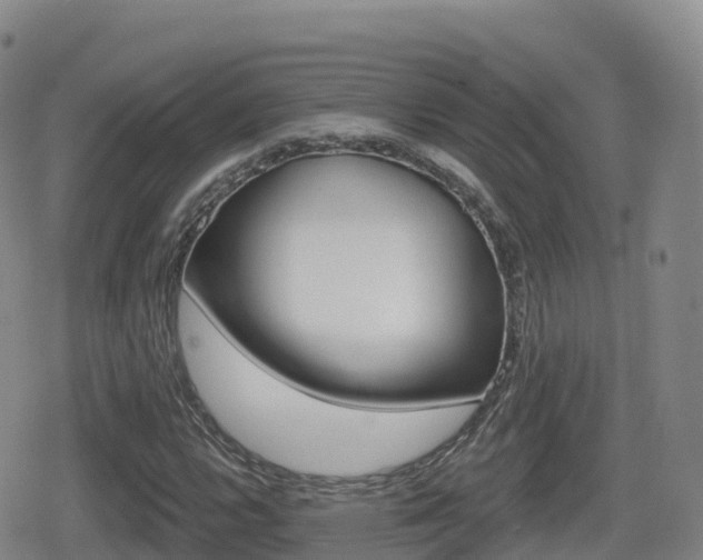 X0000080721112200612150831