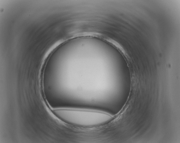 X0000080721135200612150831