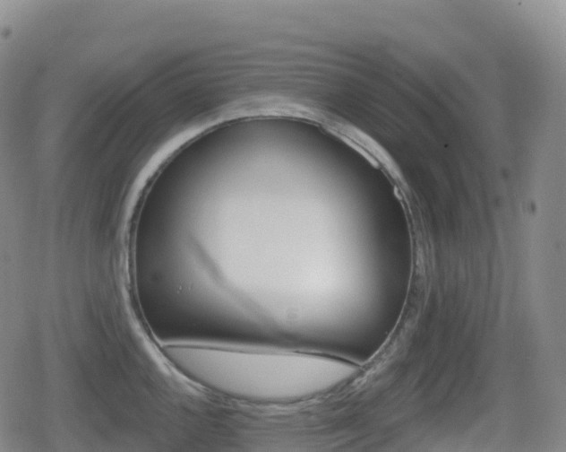 X0000080721144200612150832