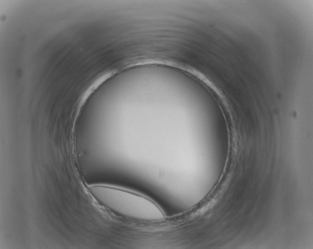 X0000080721145200612150832